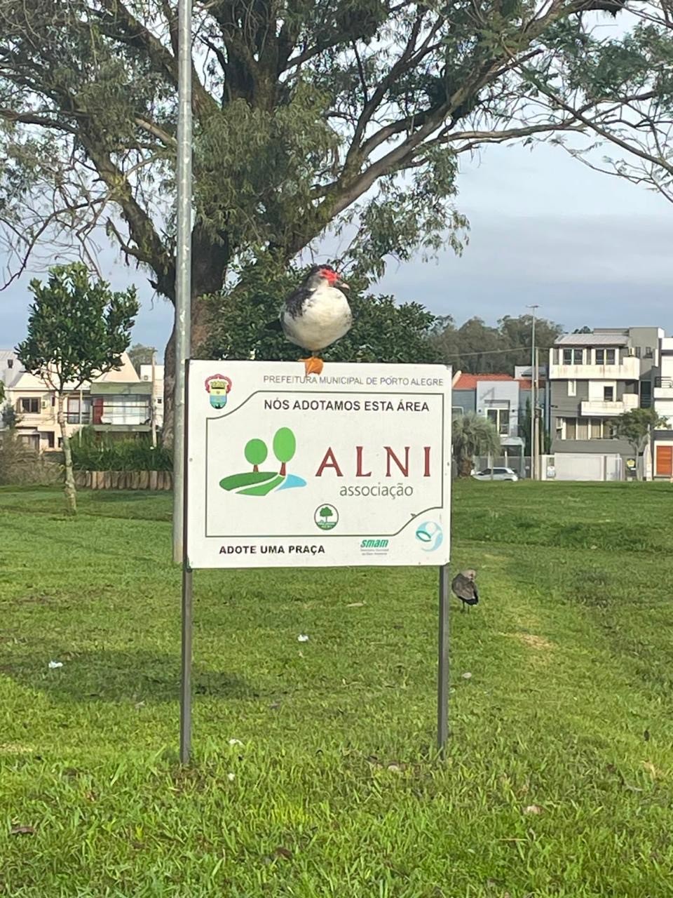Mídia da publicação de Abel — foto 1