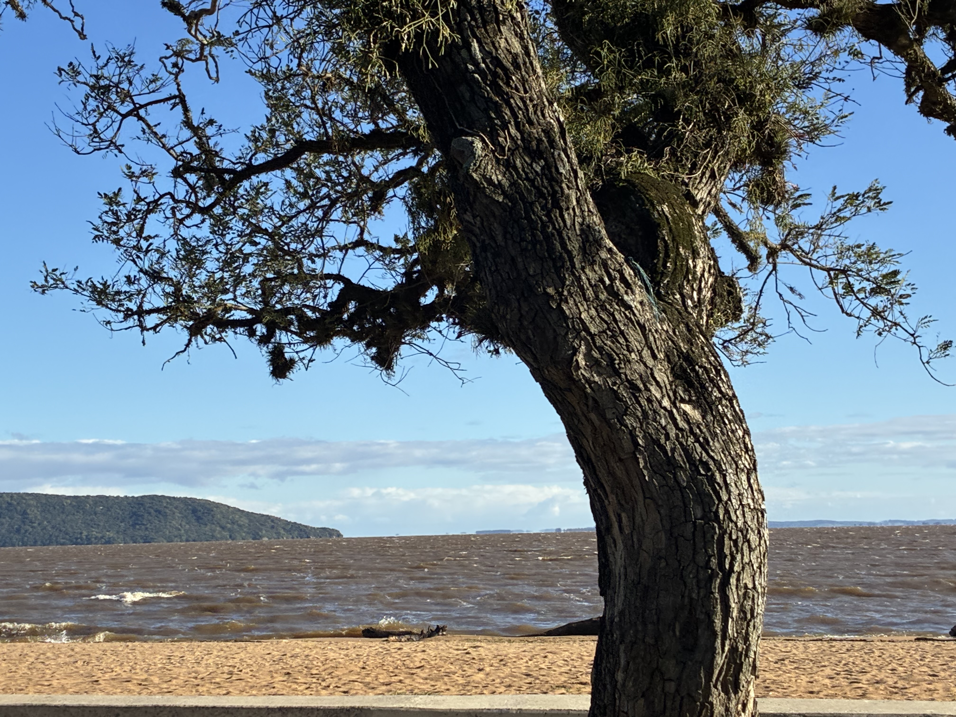 Mídia da publicação de Abel — foto 2