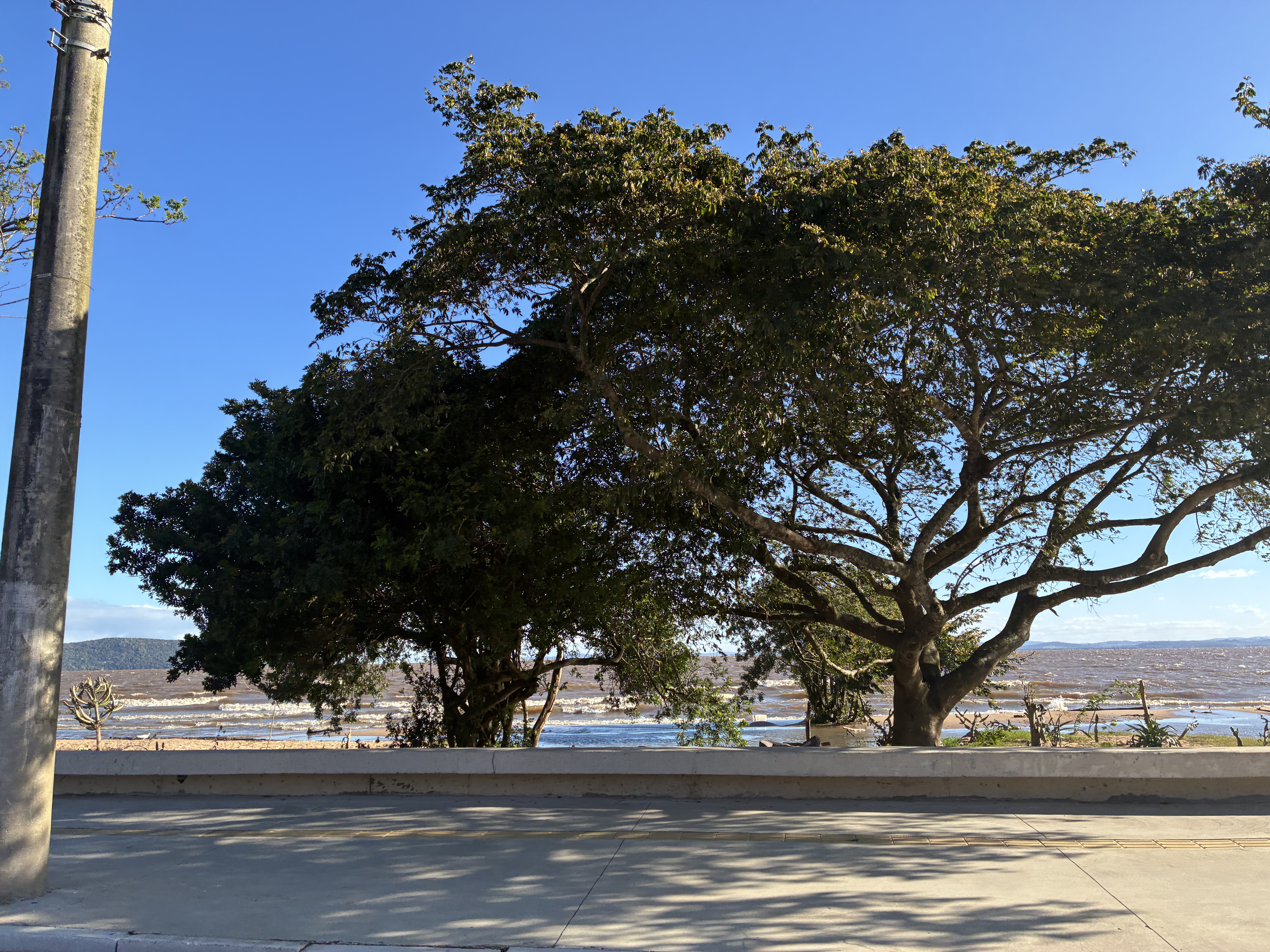 Mídia da publicação de Abel — foto 3